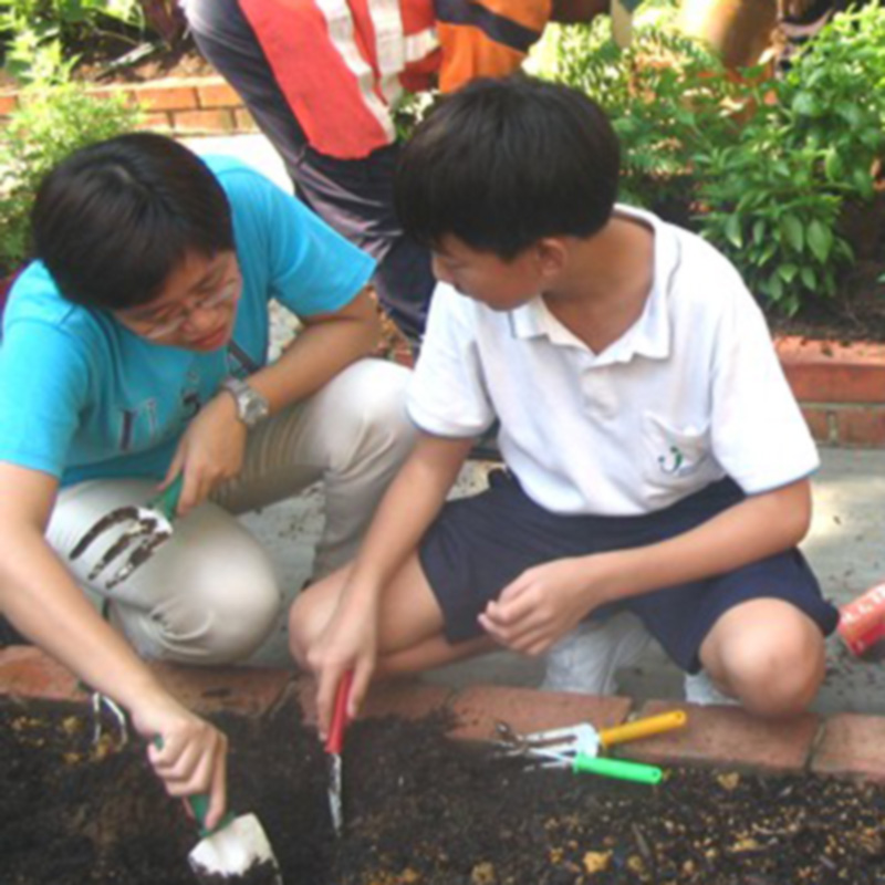 Individual Volunteers